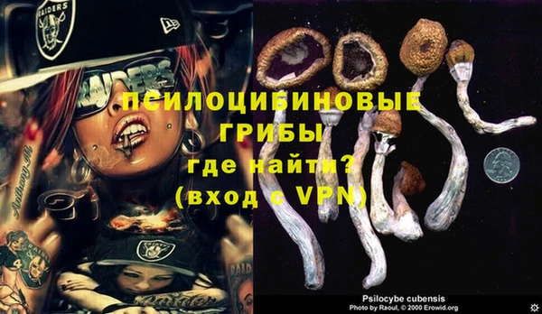 бошки Инта