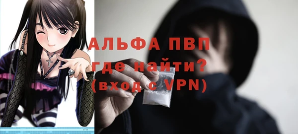 гашик Инсар