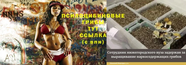 гашик Инсар