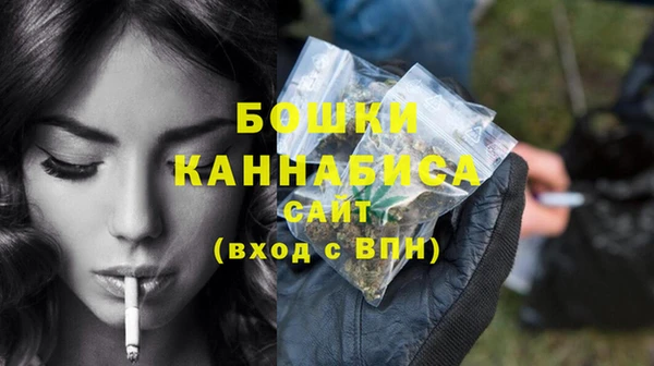 бошки Инта