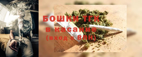 бошки Инта