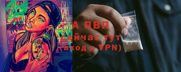 бошки Инта