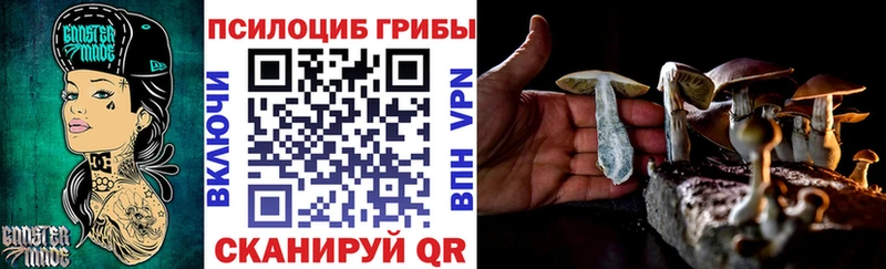 Купить где  Тайга  Галлюциногенные грибы прущие грибы 